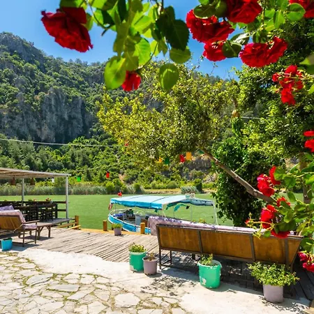 Deniz Paradise 빌라 *
